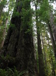 DSCN3895.JPG