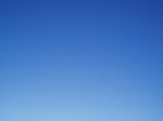 P1010004.JPG
